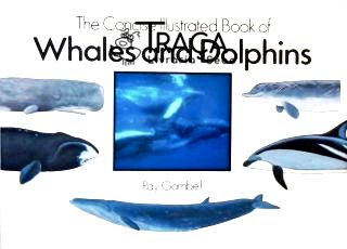 The Concise Illustrated Book of Whales and Dolphins