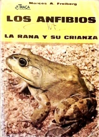 Los Anfibios: La Rana Y Su Crianza