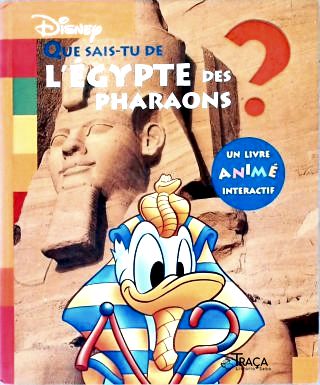 Que Sais-tu de Légypte Des Pharaons?