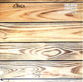 Heloisa Crocco: Topomorfose