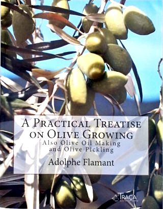 A Practical Treatise On Olive Growing
