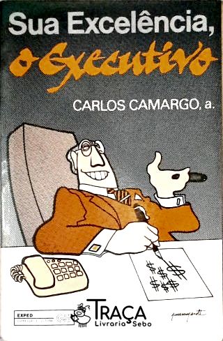 Sua Excelência, o Executivo