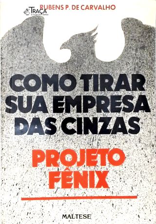 Como Tirar Sua Empresa das Cinzas