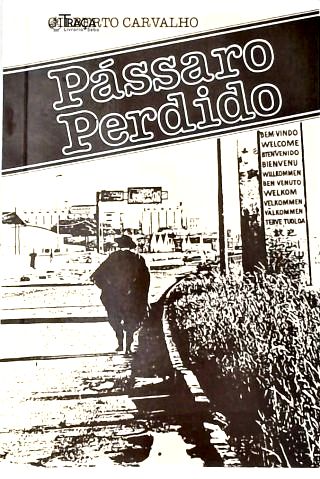 Pássaro Perdido