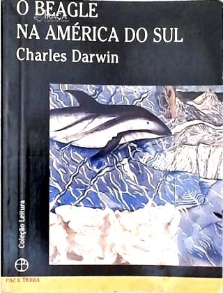 O Beagle Na América Do Sul