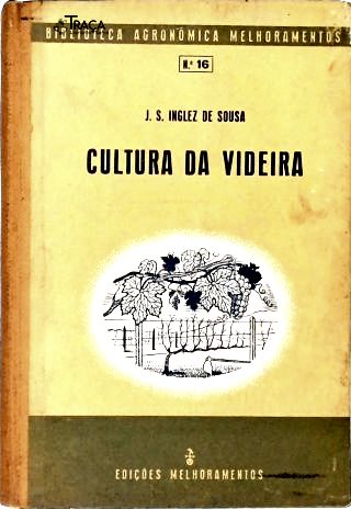 Cultura da Videira