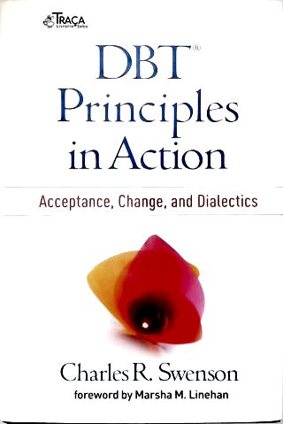 Dbt Principles In Action