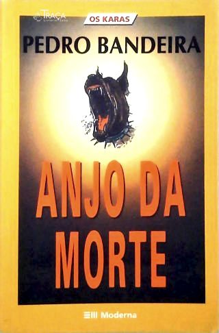 Anjo da Morte