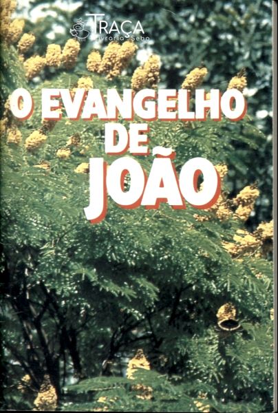 O Evangelho Segundo João