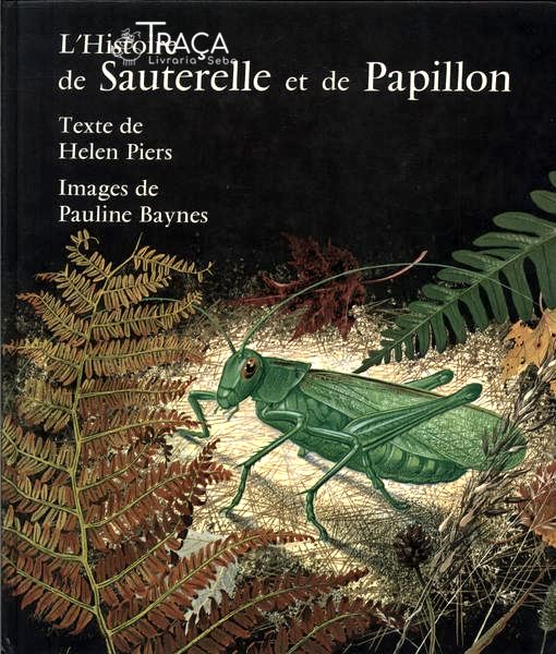 Lhistoire de Sauterelle Et de Papillon