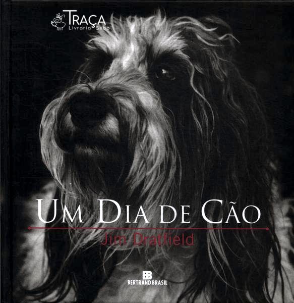 Um Dia de Cão