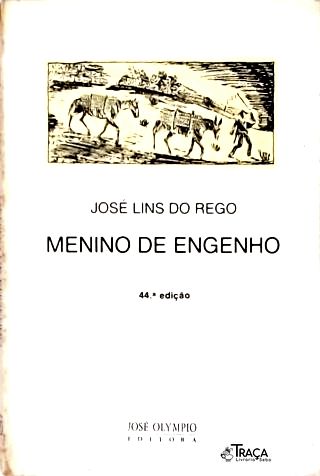 Menino de Engenho