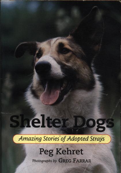 Shelter Dogs