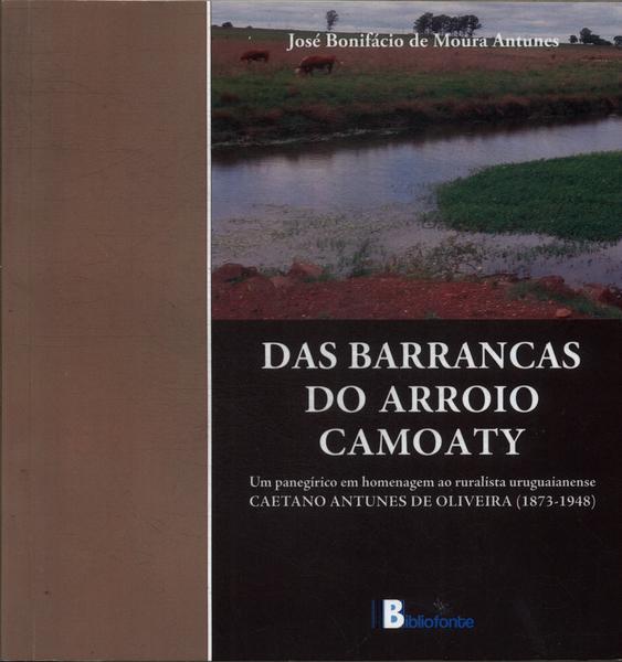 Das Barrancas Do Arroio Camoaty