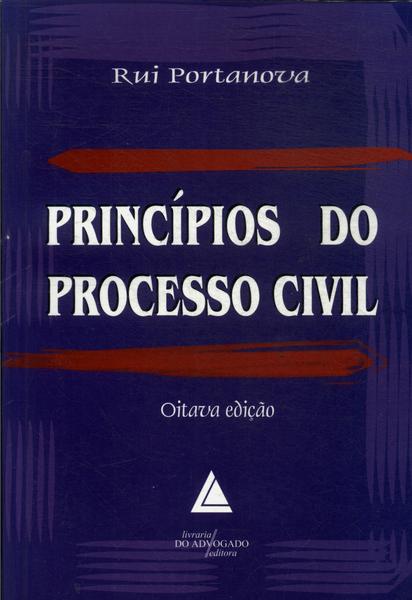 Princípios Do Processo Civil (2013)