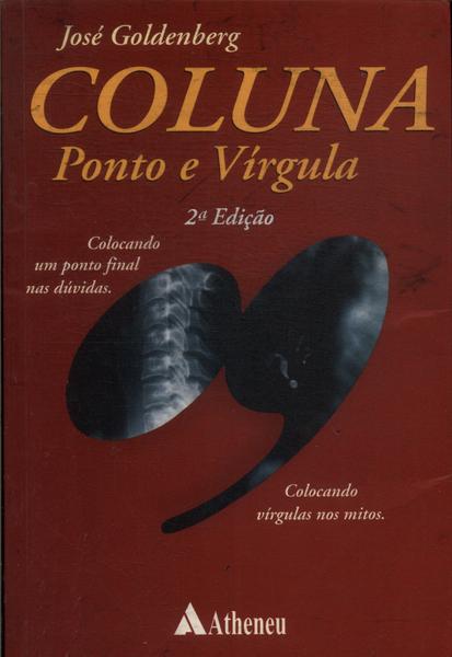 Coluna Ponto E Vírgula