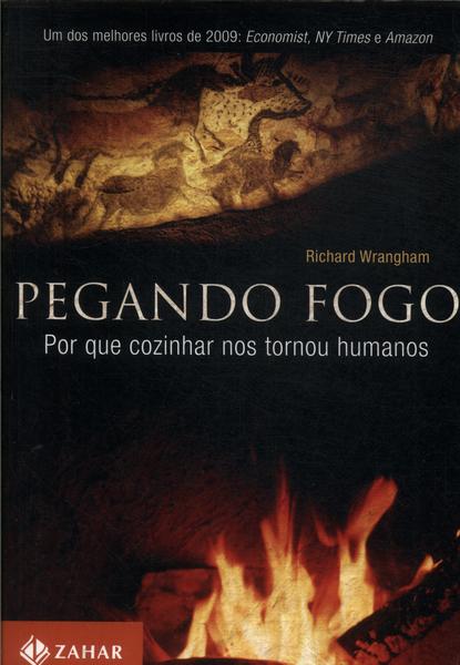 Pegando Fogo: Por Que Cozinhar Nos Tornou Humanos