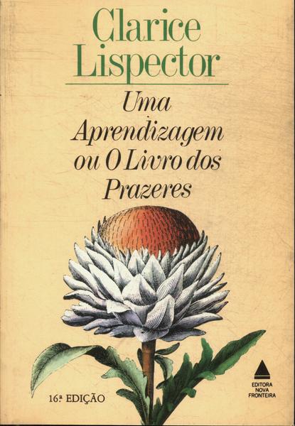 Uma Aprendizagem Ou O Livro Dos Prazeres