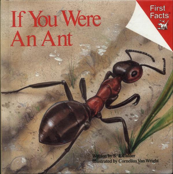 If You Were A Ant