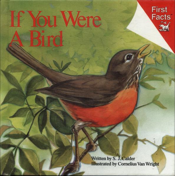 If You Were A Bird