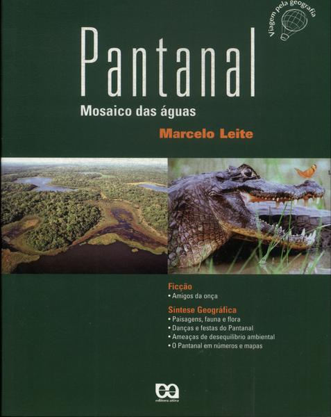 Pantanal: Mosaico Das Águas