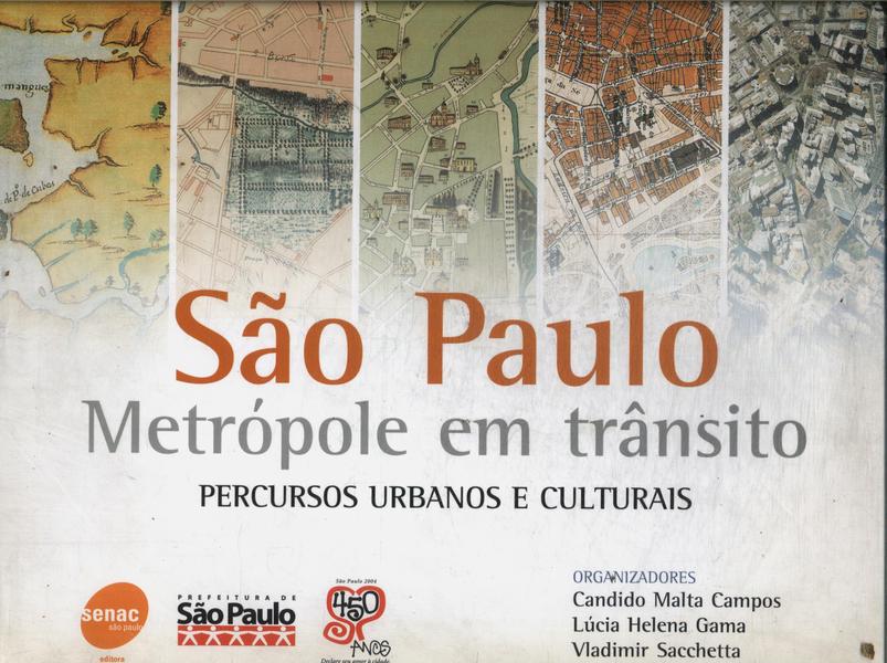 São Paulo: Metrópole Em Trânsito
