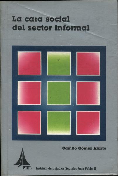 La Cara Social Del Sector Informal