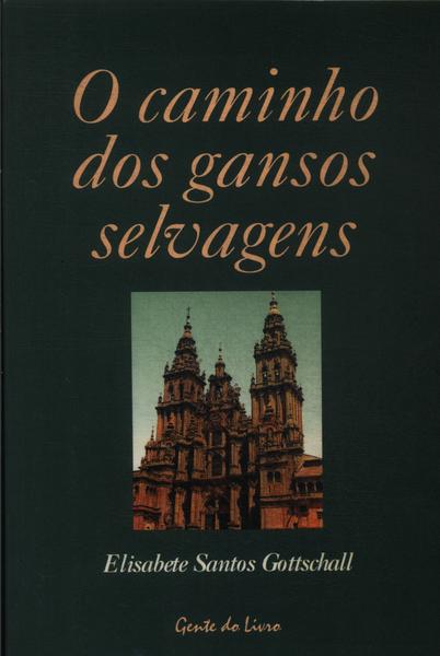 O Caminho Dos Gansos Selvagens