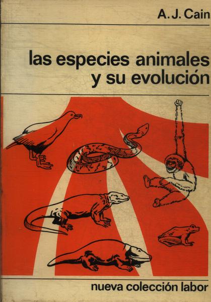 Las Especies Animales Y Su Evolución