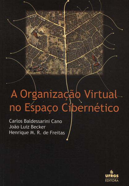 A Organização Virtual No Espaço Cibernético