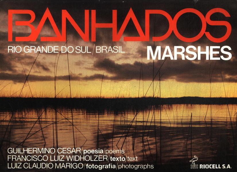 Banhados: Rio Grande Do Sul / Brasil