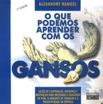 O Que Podemos Aprender Com Os Gansos