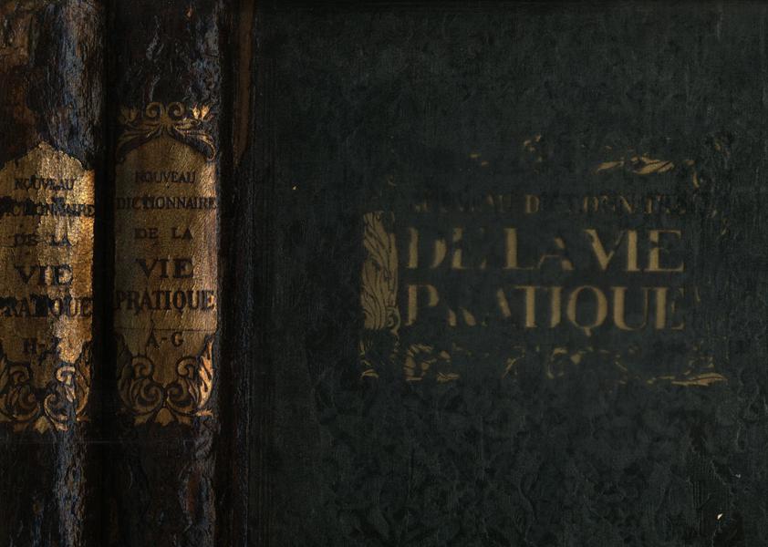 Nouveau Dictionnaire De La Vie Pratique