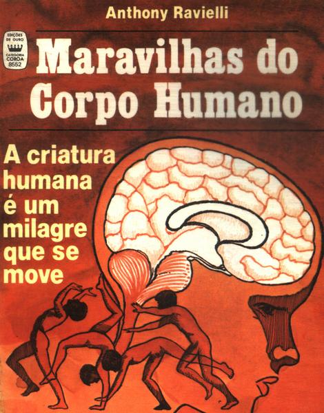 Maravilhas Do Corpo Humano