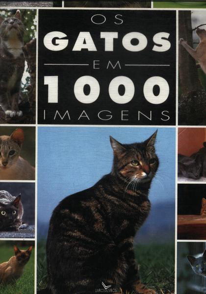 Os Gatos Em 1000 Imagens
