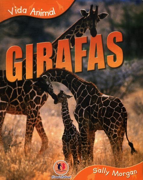 Vida Animal: Girafas