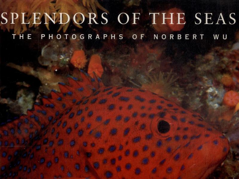 Splendors Of The Seas