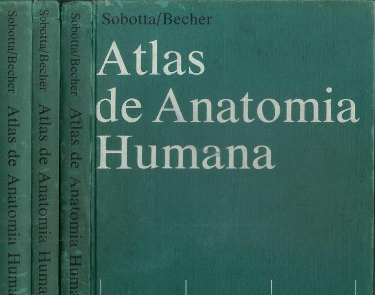Atlas De Anatomia Humana (3 Volumes)
