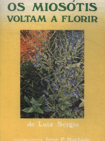 Os Miosotis Voltam A Florir