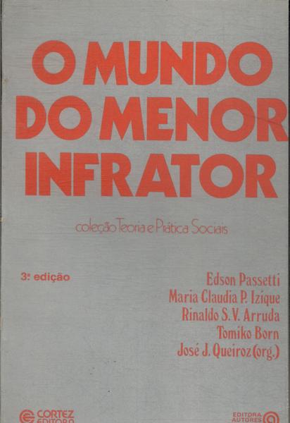 O Mundo Do Menor Infrator (1987)