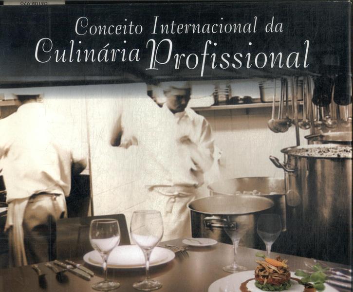 Conceito Internacional Da Culinária Profissional