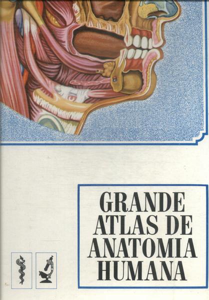 Grande Atlas De Anatomia Humana