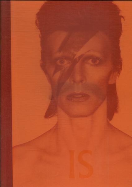 David Bowie Is Inside