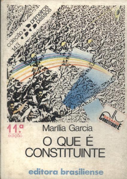 O Que É Constituinte