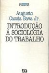 Introdução À Sociologia Do Trabalho