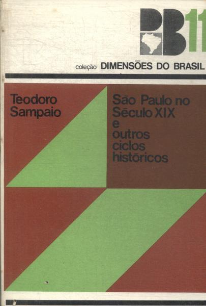 São Paulo No Século Xix