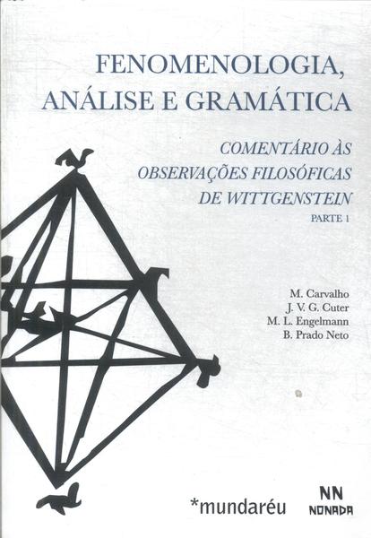 Fenomenologia, Análise E Gramática