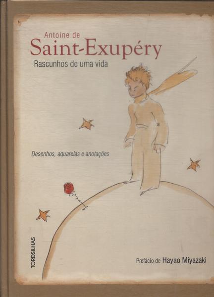 Antoine De Saint-exupéry: Rascunhos De Uma Vida