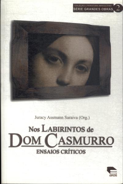 Nos Labirintos De Dom Casmurro