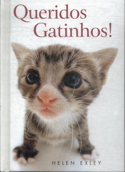 Queridos Gatinhos!